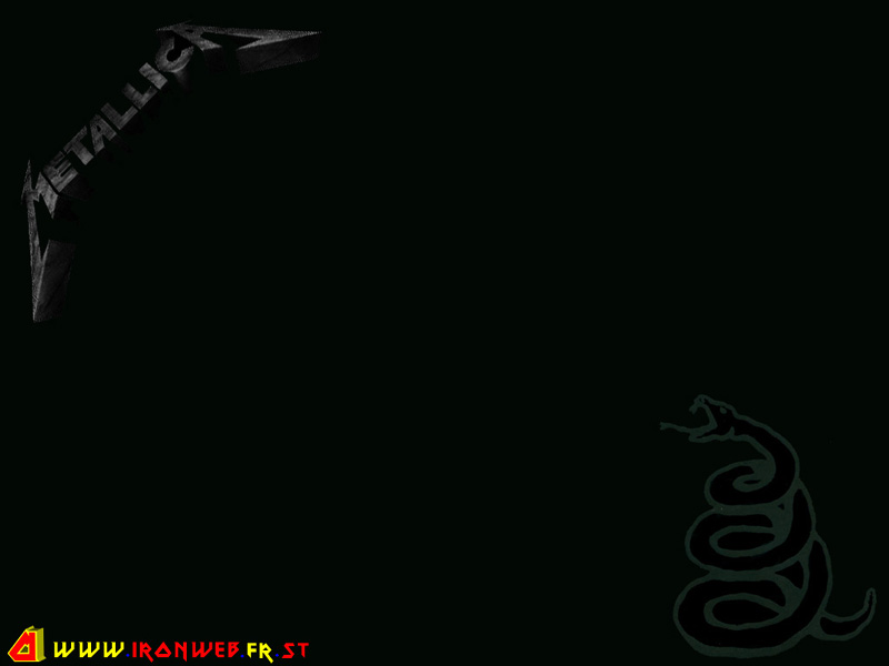 metallica800.jpg